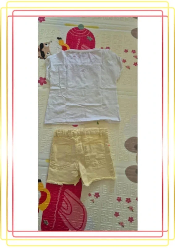 Zomerset – photo 2